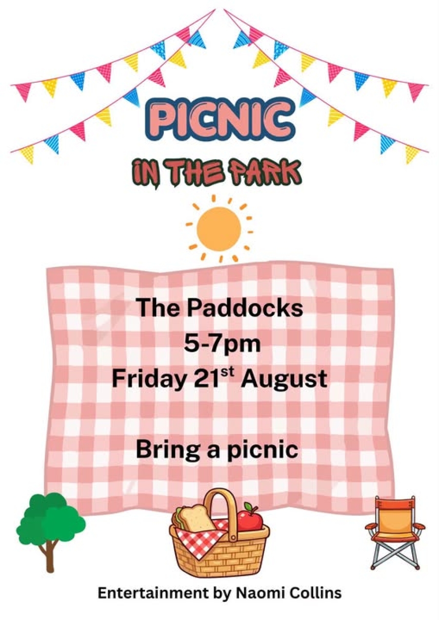 Picnic in the park.jpg